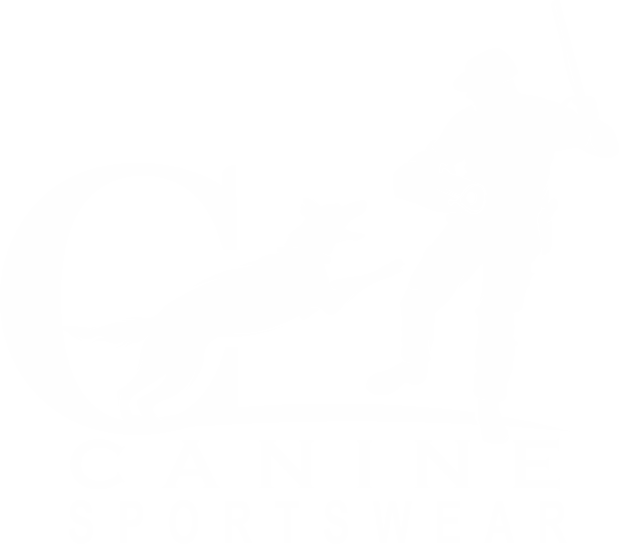 Canine Sports Wear