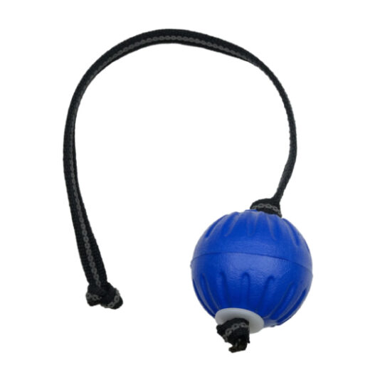 Durafoam Ball Dog Training Toy
