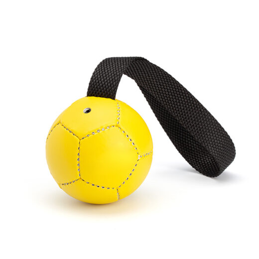 Dog Sports Training Leather Ball